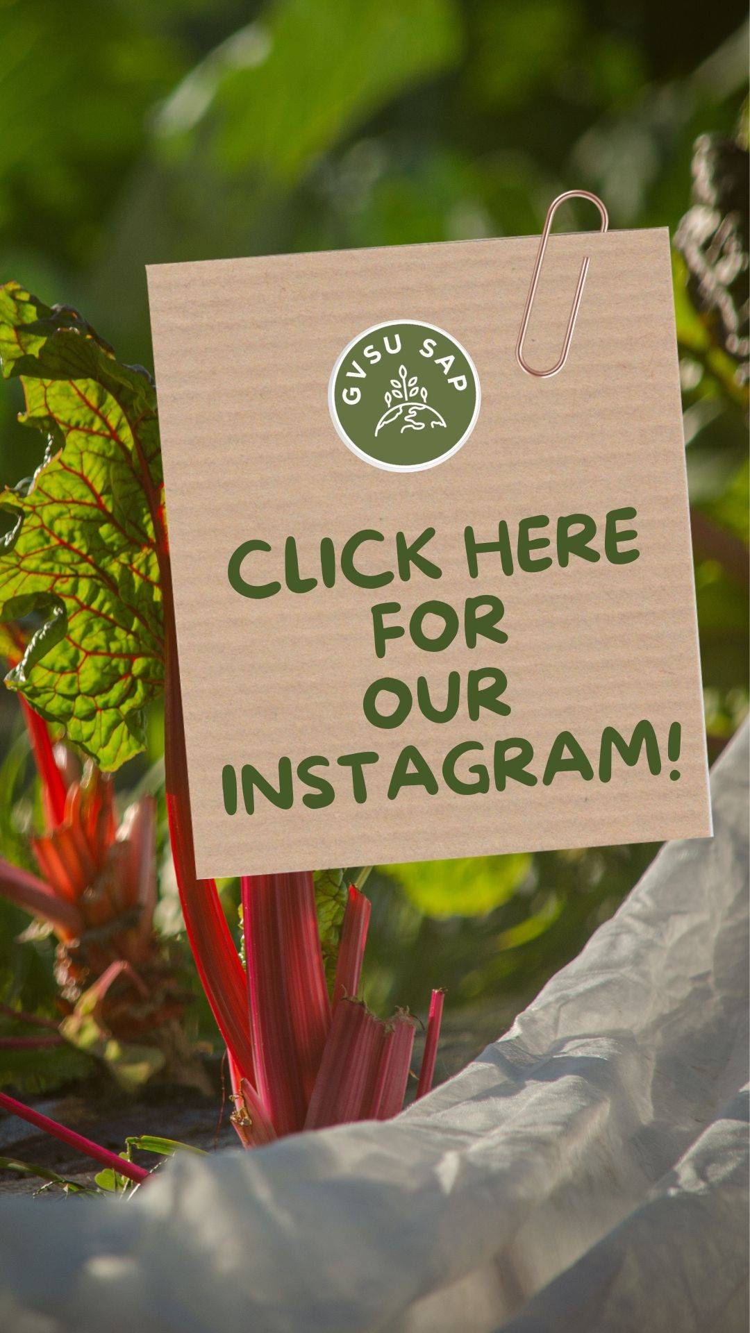 Click Here For The SAP Instagram!